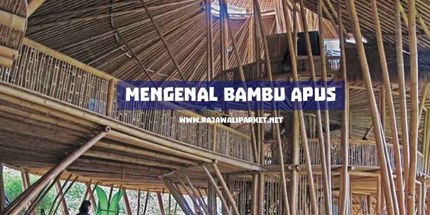 karakteristik bambu Hunian