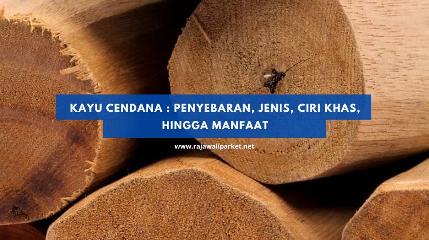 kayu cendana