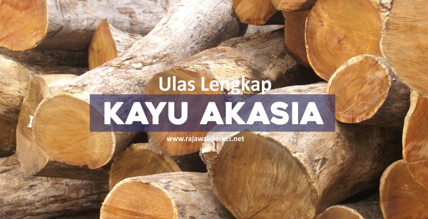 karakteristik kayu akasia