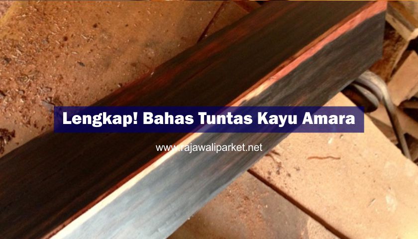Mengenal Kayu amara