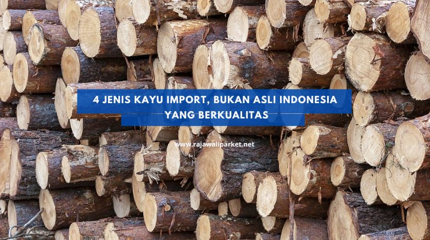 kayu impor