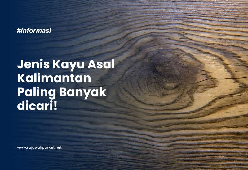 Jenis Kayu Asal Kalimantan