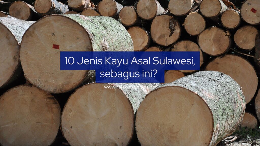 Jenis Kayu Asal Sulawesi